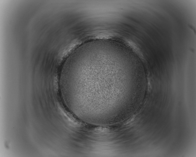 X0000099530354200805231107