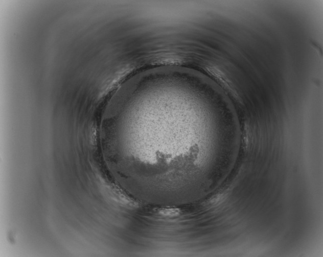X0000099530355200805231107