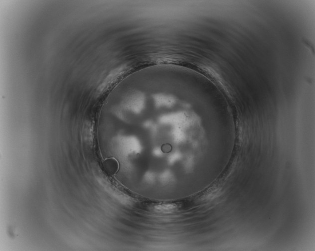 X0000099530357200805231107