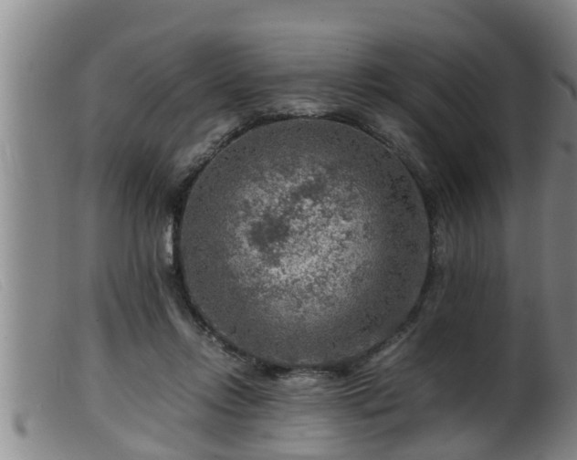 X0000099530358200805231107