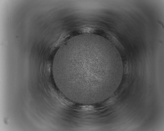 X0000099530363200805231107