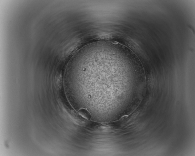 X0000099530364200805231107