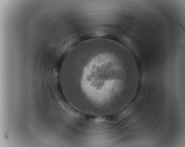 X0000099530366200805231107