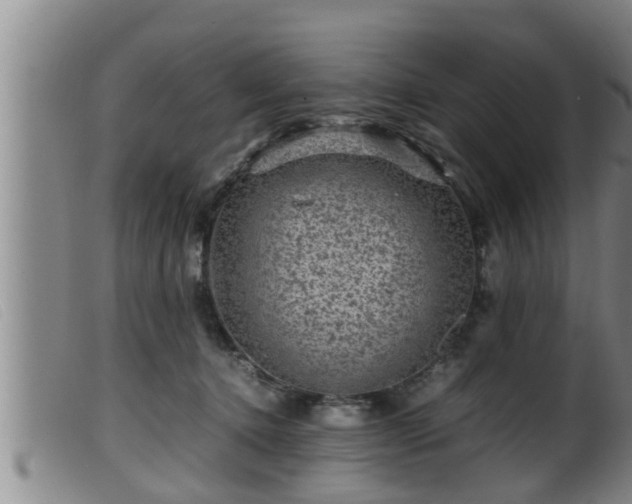 X0000099530368200805231107