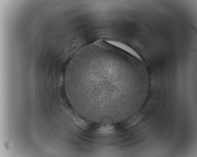 X0000099530369200805231107