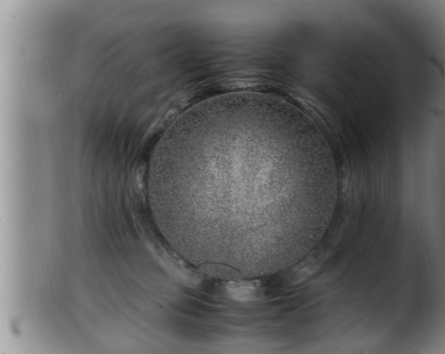 X0000099530373200805231108