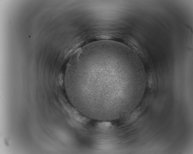X0000099530374200805231108