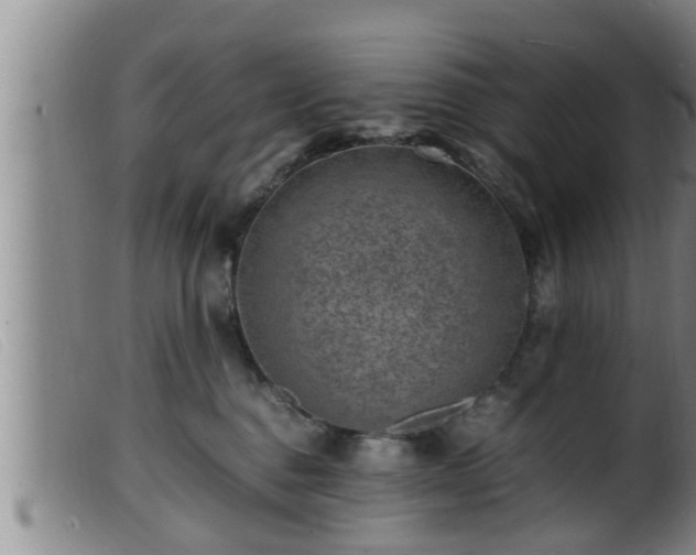 X0000099530376200805231108
