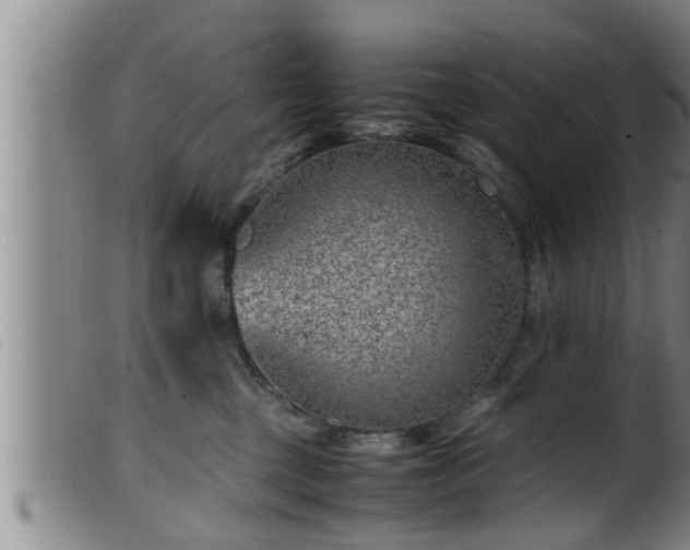 X0000099530377200805231108