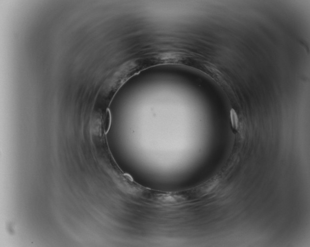 X0000099530379200805231108