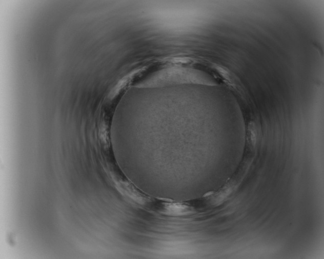 X0000099530380200805231108