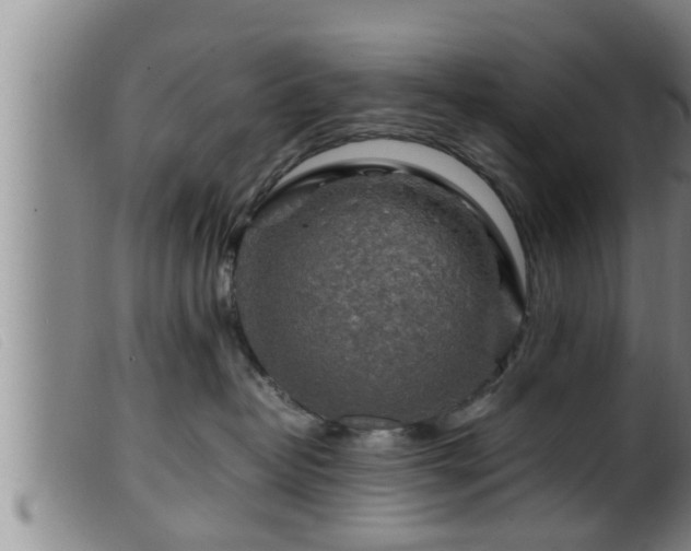 X0000099530382200805231108