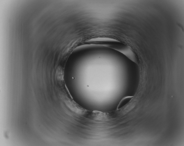 X0000099530384200805231108