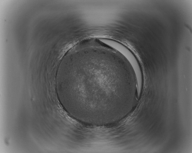 X0000099530385200805231107