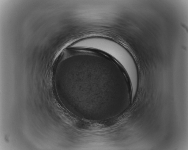 X0000099530387200805231107