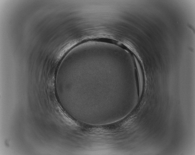 X0000099530389200805231107