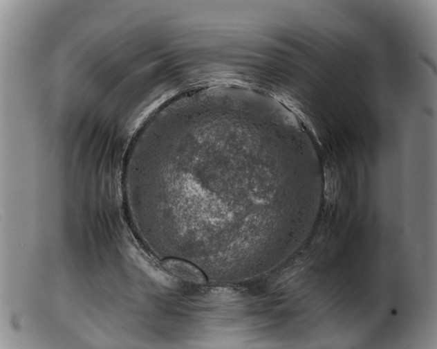 X0000099530390200805231107