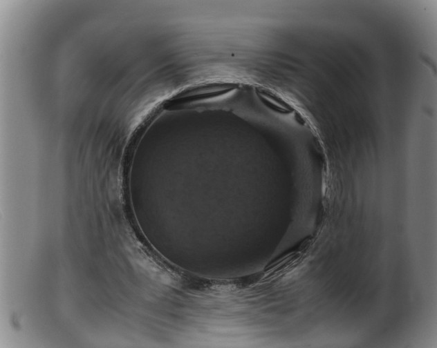 X0000099530391200805231107