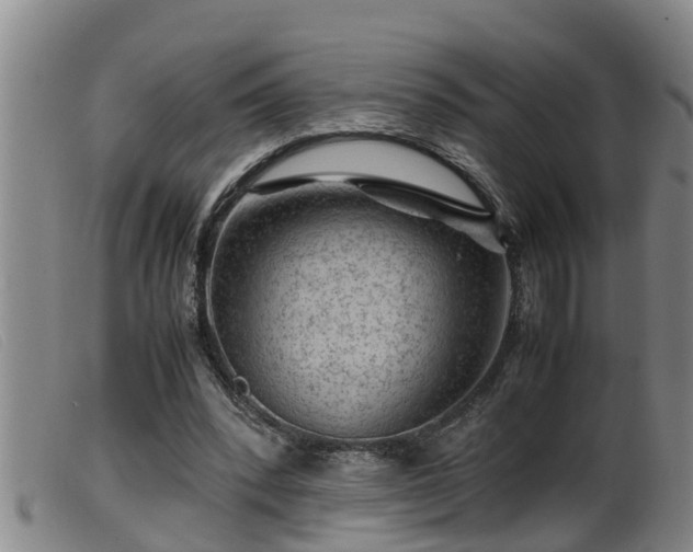 X0000099530392200805231107