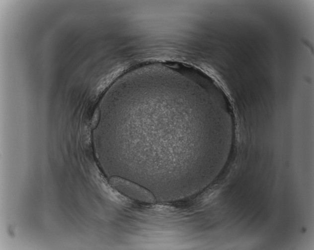 X0000099530393200805231107
