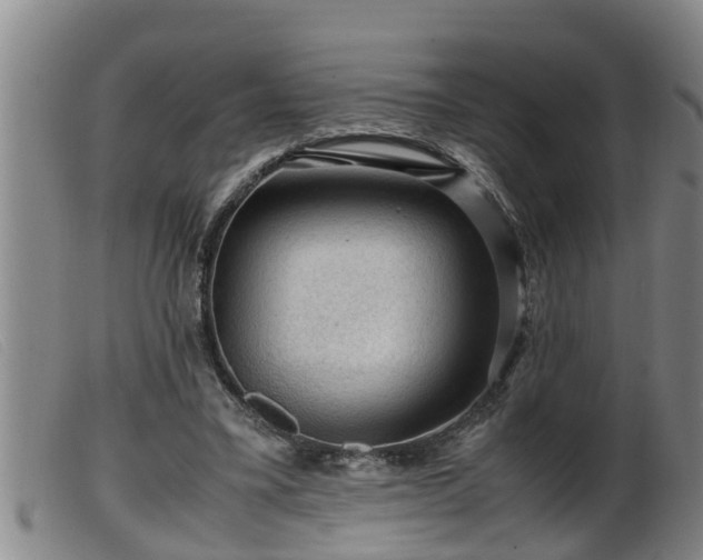 X0000099530395200805231107