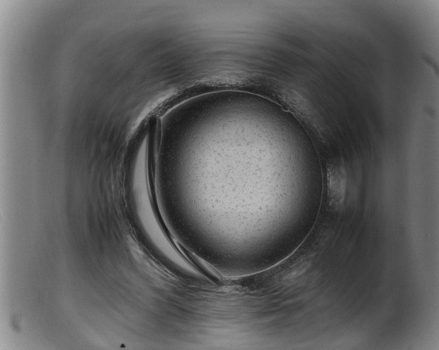 X0000099530396200805231107