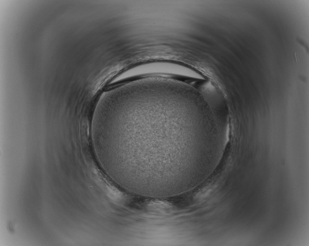 X0000099530397200805231107