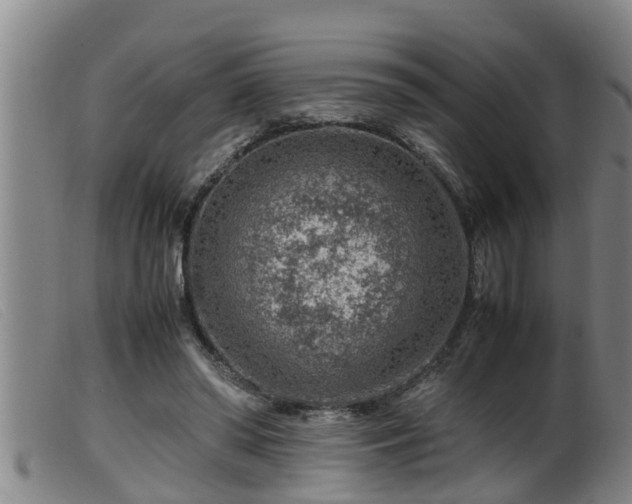 X0000099530398200805231107