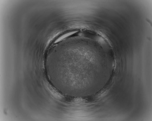 X0000099530399200805231107