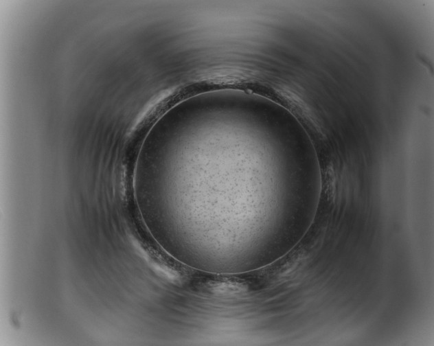 X0000099530400200805231107