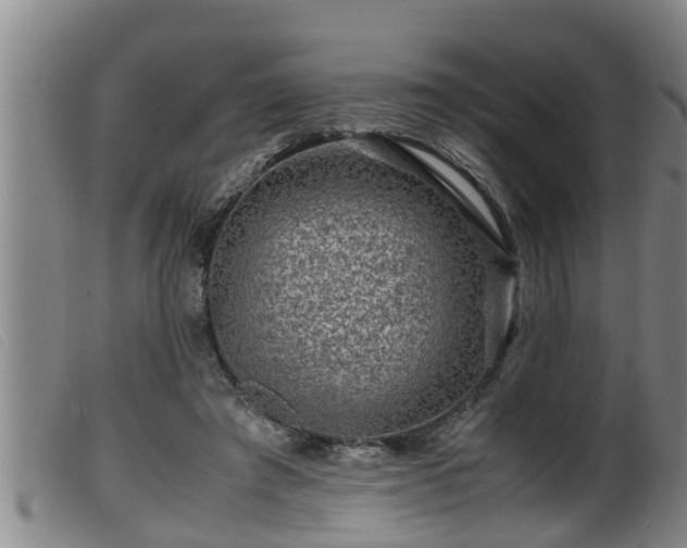 X0000099530401200805231107