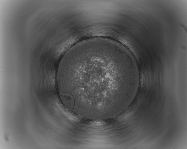 X0000099530402200805231107