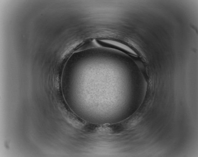 X0000099530403200805231107