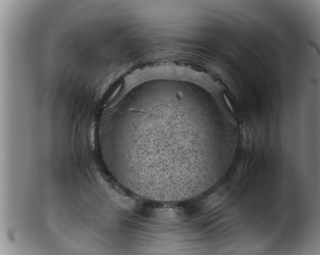 X0000099530404200805231107