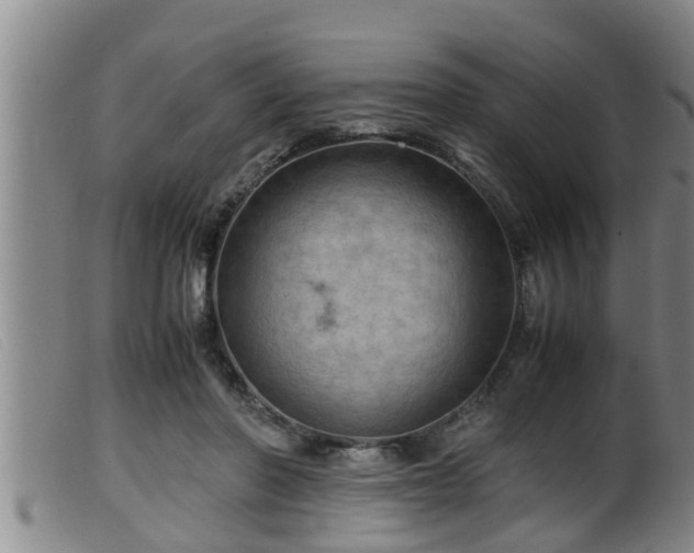 X0000099530406200805231107