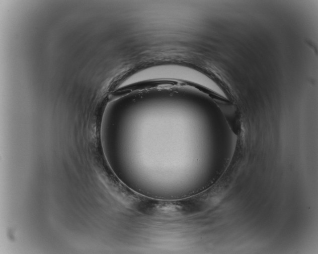 X0000099530407200805231107