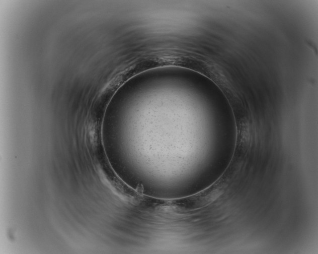 X0000099530408200805231107