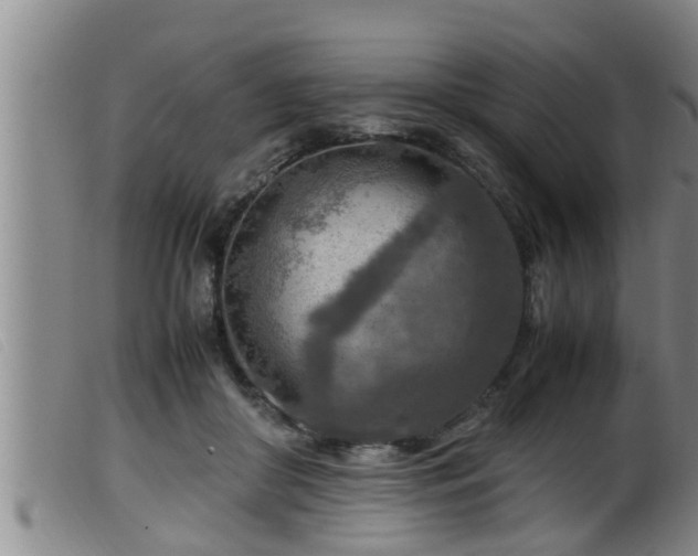 X0000099530410200805231107