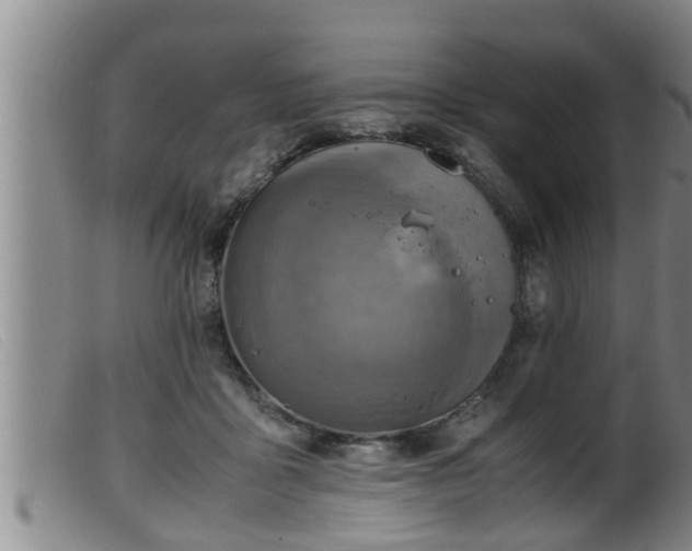 X0000099530411200805231107