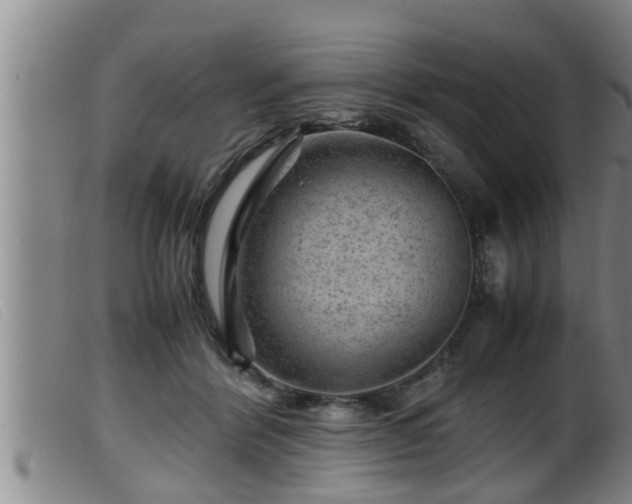 X0000099530412200805231107
