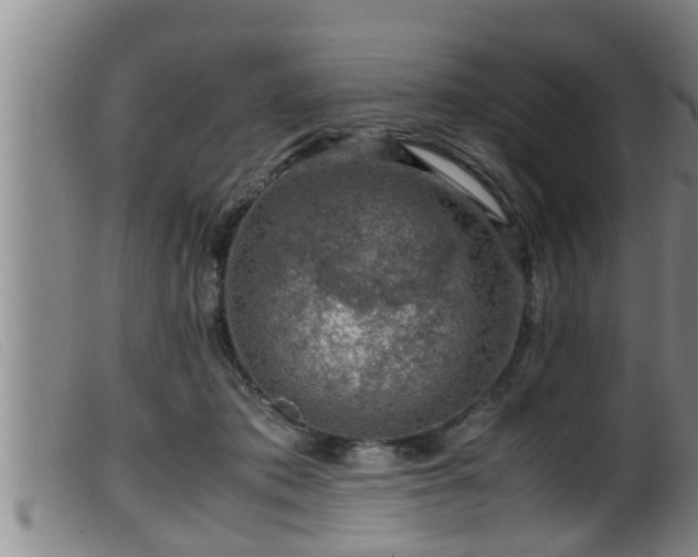 X0000099530413200805231107