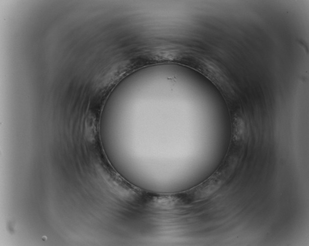 X0000099530414200805231107