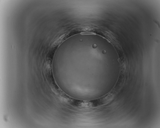 X0000099530415200805231107