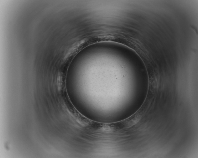 X0000099530416200805231107