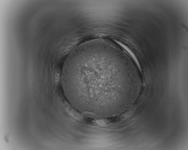 X0000099530417200805231107