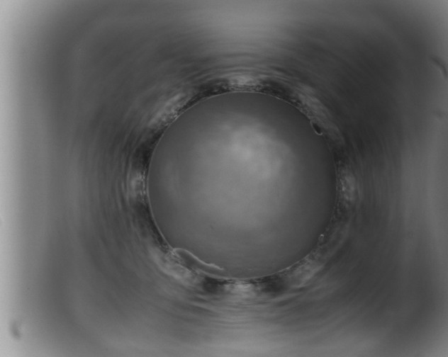 X0000099530419200805231107