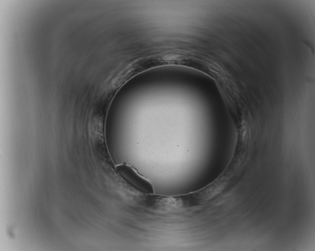 X0000099530421200805231106