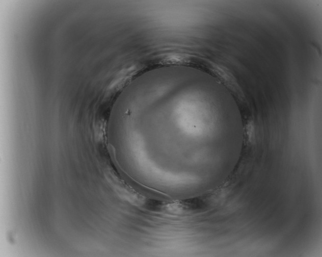 X0000099530423200805231106