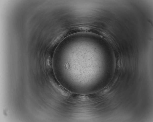 X0000099530424200805231106
