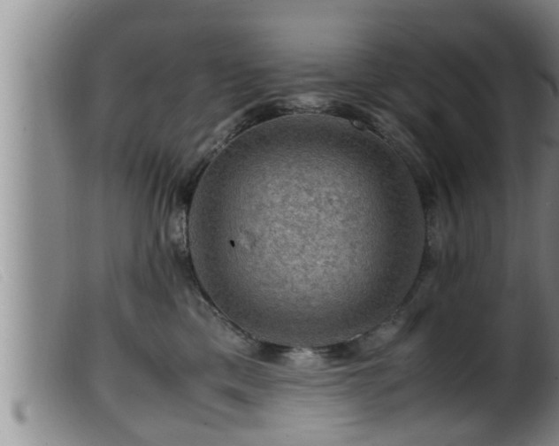 X0000099530425200805231106